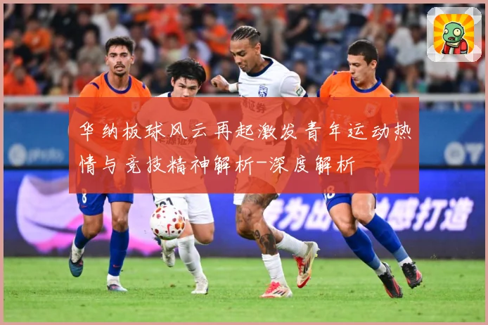华纳板球风云再起激发青年运动热情与竞技精神解析-深度解析