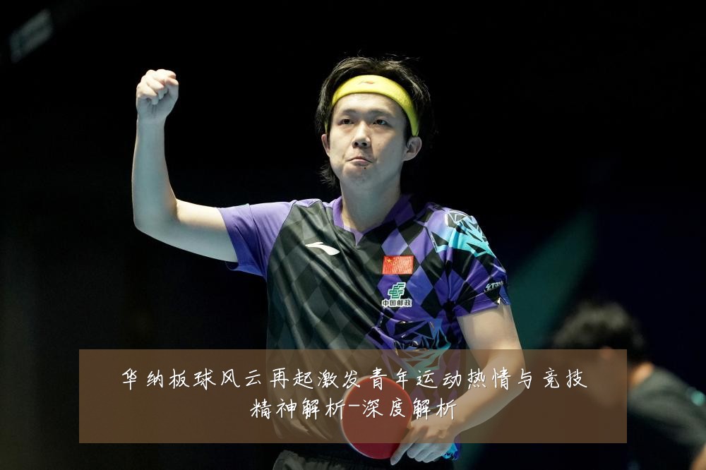 华纳板球风云再起激发青年运动热情与竞技精神解析-深度解析